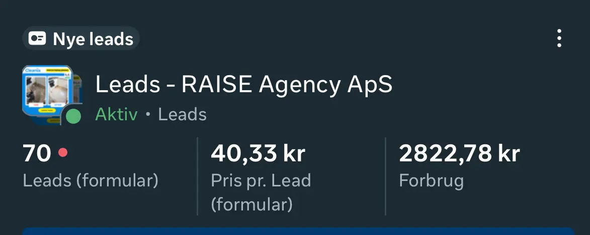 RAISE Agency arbejdsprocess