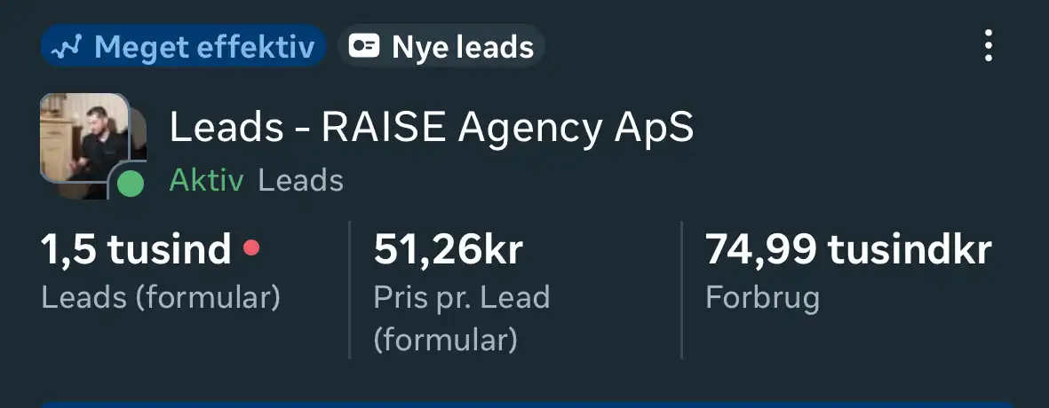 Cleania — Ads Manager resultater, 1.500+ leads via Meta Ads