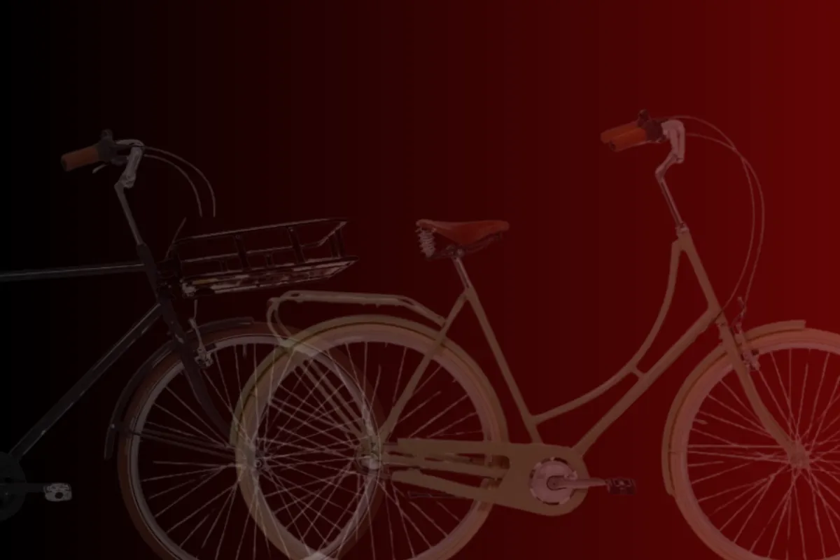 Google Ads til cykelforhandlere — 7.229% ROAS